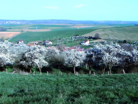 Couvreur Marthemont